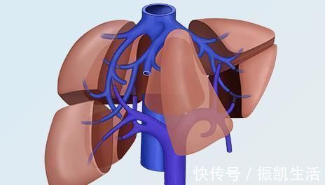 治療|患上肺癌該怎么辦大夫不一樣的手術治療方式多有注重，看這4點幫你更強的醫治