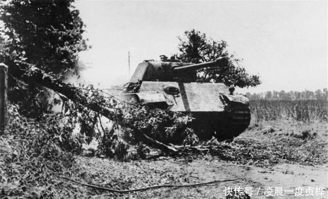 苏联|二战时期,为何日本没有配合德国,北上进攻苏联