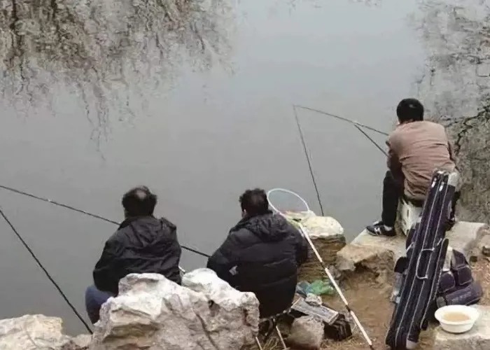 冬钓又一重大突破,我只用了3个简短招式,无需担心板鲫不上钩
