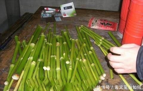 现在在农村都不常见了的美味植物，小时候经常吃，你们吃过吗？