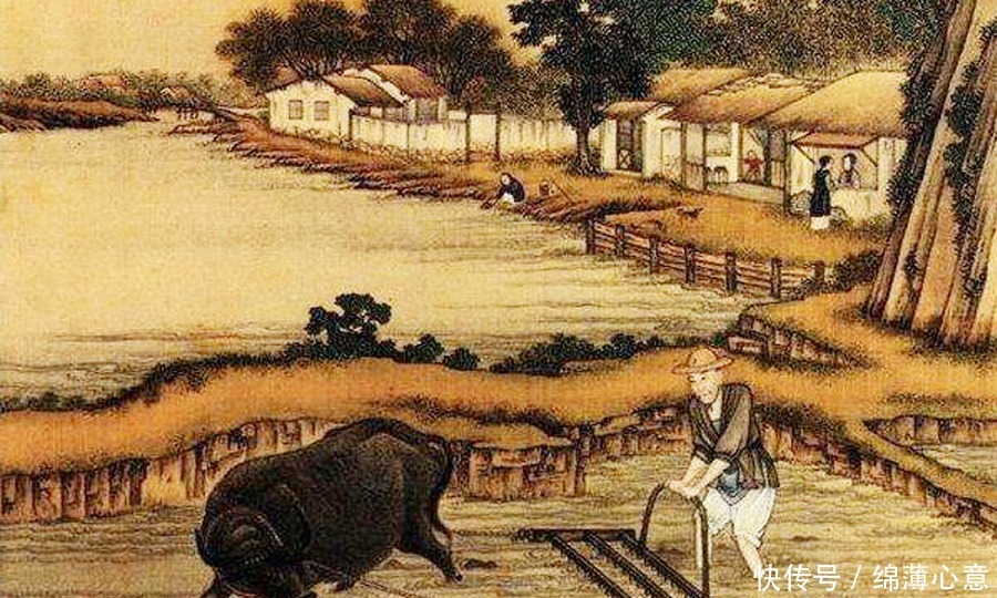 牛肉|古代不能随便杀牛,为何大侠能随便吃牛肉?人物身份设定需要