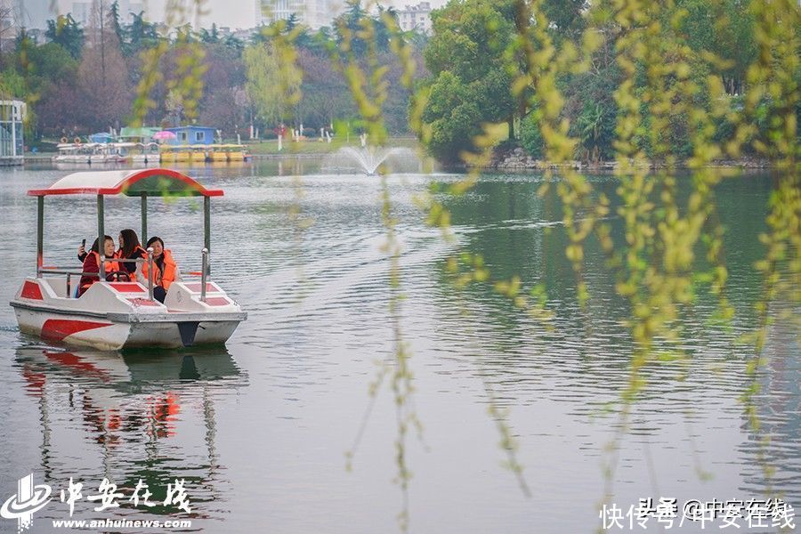 合肥迎惊蛰节气 杏花公园春和景明(组图)