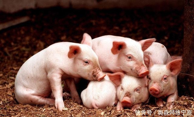 荒唐|赵匡胤留下3条遗训，条条看似荒唐却有深意，宋徽宗不听结果亡国