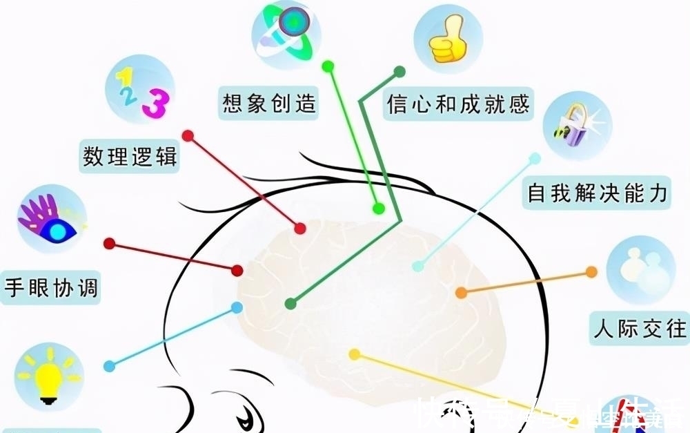 发育|胎儿有3个大脑发育“高峰期”,妈妈要抓住时机,对孩子有帮助