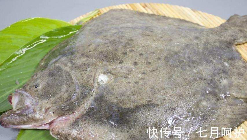 鲈鱼|天热吃鱼，内行人专挑这4种海鱼，营养美味还便宜，再贵也值得！