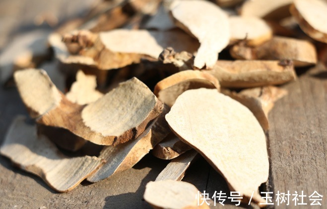 药效|长在树上的药材,药效很大,农民不敢用,城里卖300块钱一斤