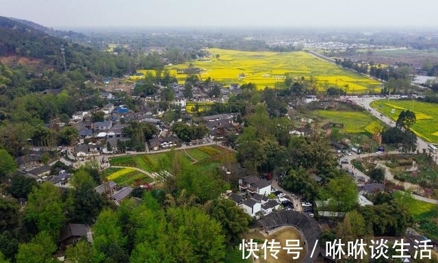 竹子|崇州竹艺村，到了节假日人满为患，究竟有多好看？