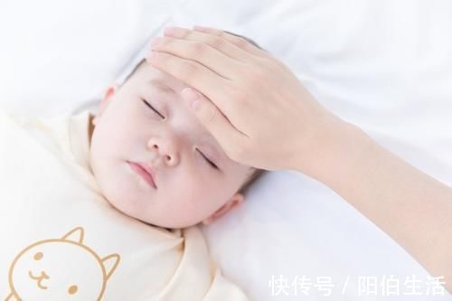 豆豆|看着不起眼,价格还便宜,补钙效果却很棒,一年四季都可以给娃吃