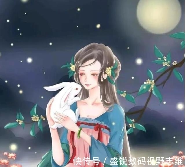 王钊$7本古代女主扮猪吃虎架空言情小说,《庶女有毒》垫底,第一上亿