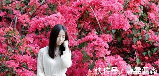 三角梅|此极品花卉，一年花开210天，花朵艳丽，比牡丹还漂亮10倍