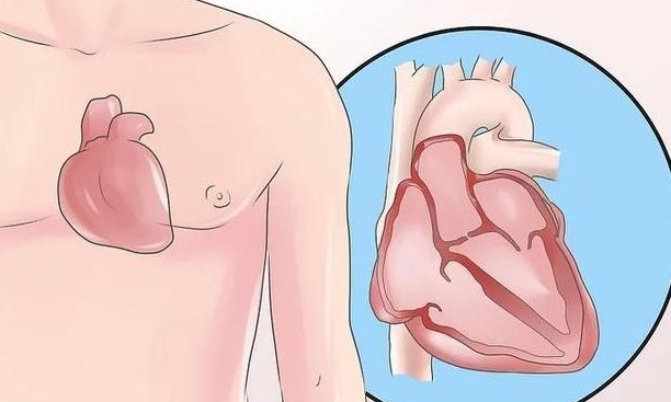 健康|寿命长的人，往往能达到6个标准，占了1个，也易长寿