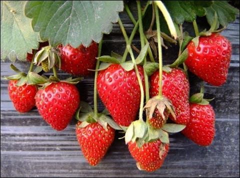 养护肝脏|李兰娟：养肝没有想象的那么复杂，建议做好4件事，或对肝脏有益