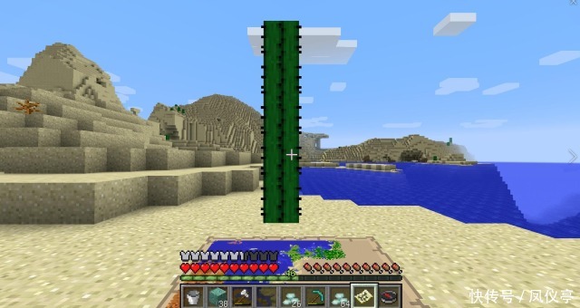 知识|我的世界:关于仙人掌的“冷知识”,4格仙人掌是末影人的杰作吗