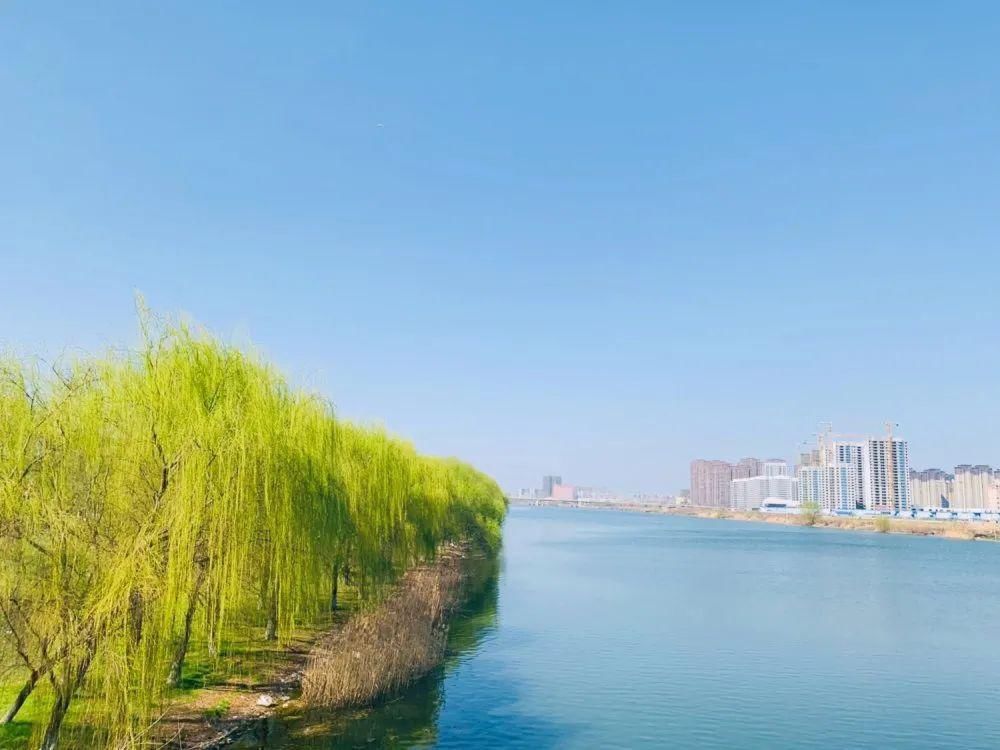 老年|春暖花开!阜城第一波春色来啦~