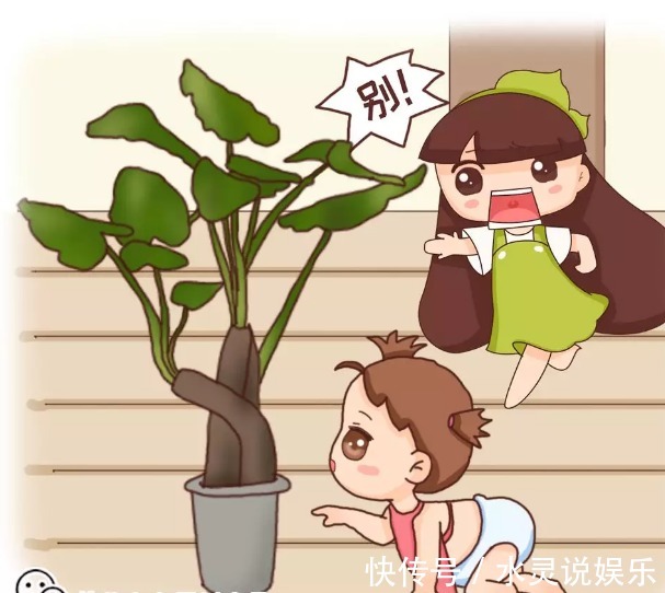 5种花卉“别乱养”,香气“有毒”,放在卧室并不好,别疏忽!