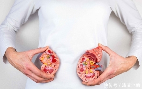 现了问题|当肾出现损伤时,身体会发出8个“求救信号”,你最好别忽视!