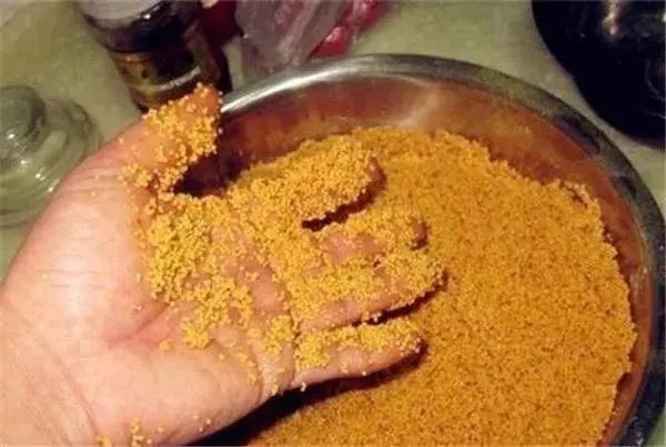 酒米不止可以打窝,还有这几种用法,渔获增加很简单