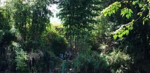 在欧洲钓鲤鱼是一项非常高大上的运动,一套装备要几干欧