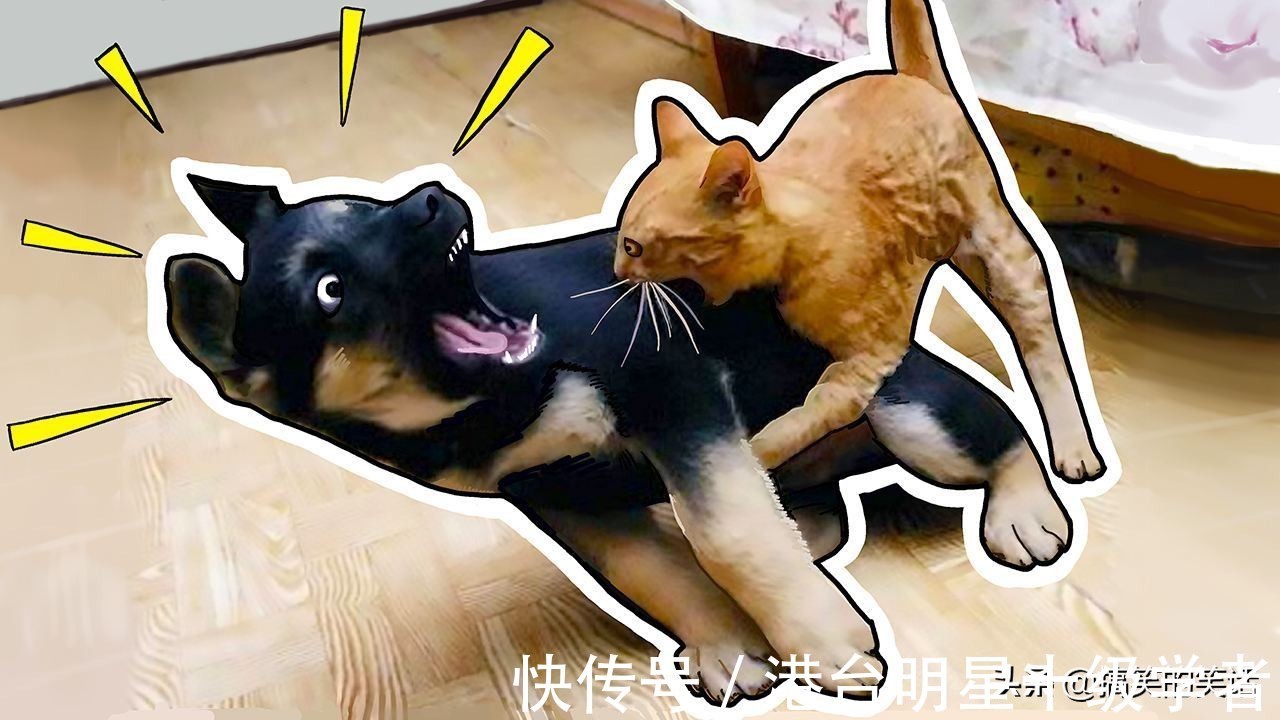 |爆笑经典童年搞笑冷笑话，糗事消费日搞笑笑话