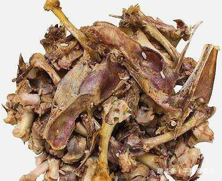 什么花生壳、瓜子皮都不如“两种肥”，拿来养君子兰，叶绿花更旺