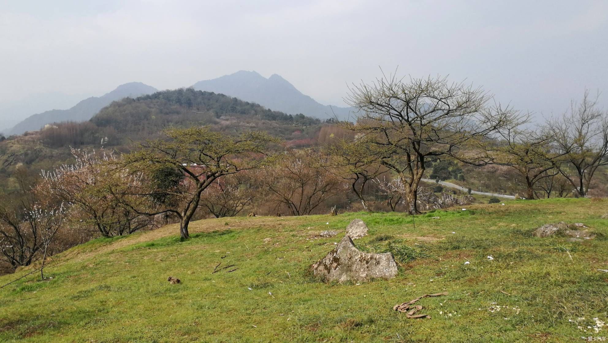 重游大坪山