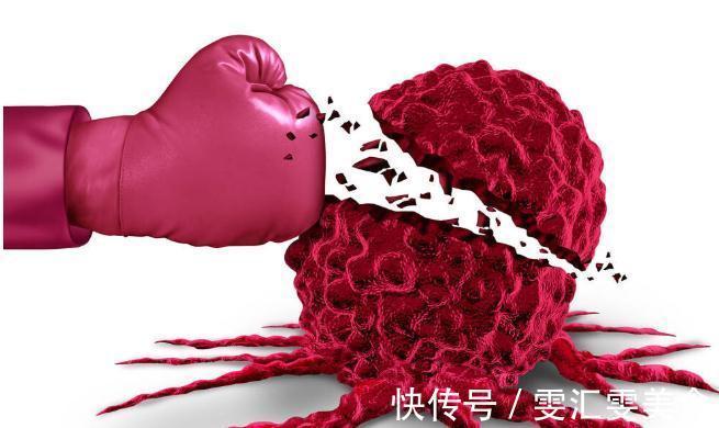 组织细胞|想要战胜癌症,吃得好很关键,要避开4个“饮食误区”,科学进补