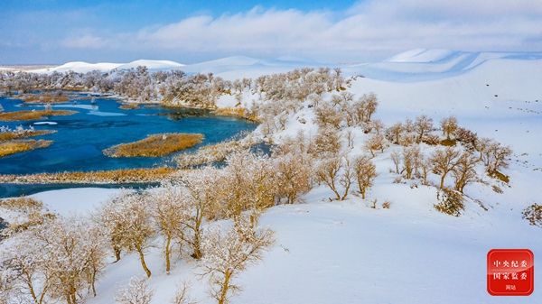 大雪|镜头 | 柿子