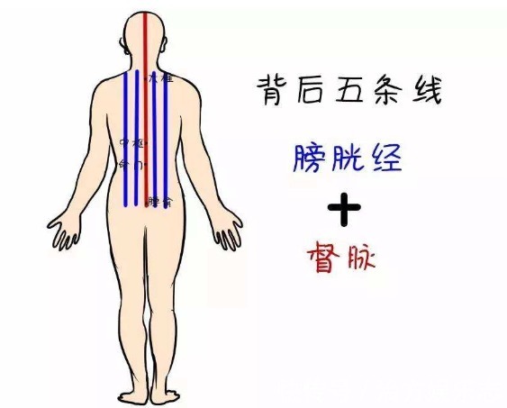养背是养阳气的总开关，推墙操、滚背操教你提升阳气，受益无穷！