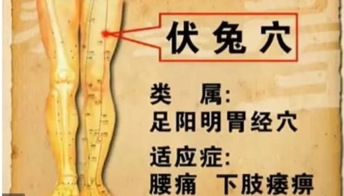 髂前上棘|敲打一个穴道，通治腰痛腿疼、腰椎间盘突、腰肌劳损等毛病，收藏