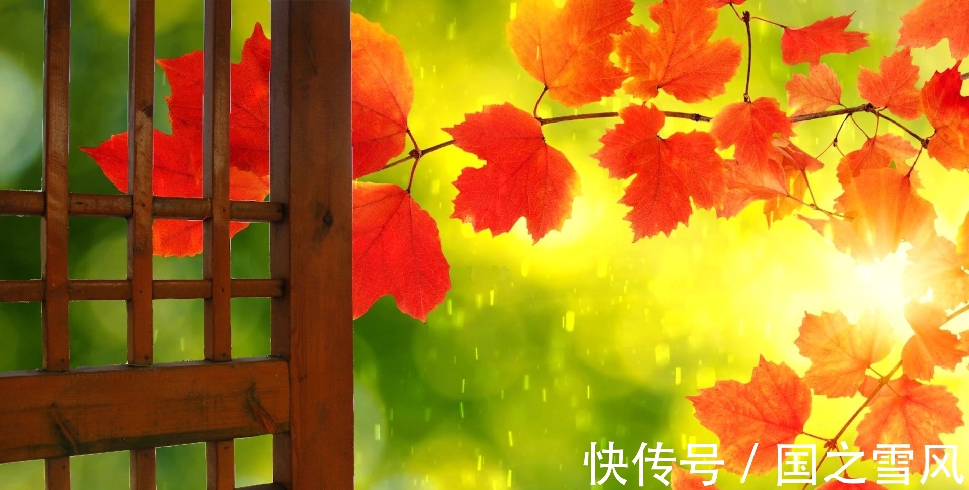 秋雨$秋风秋雨催秋凉,怎堪?秋夜秋窗怨秋长,哀叹!