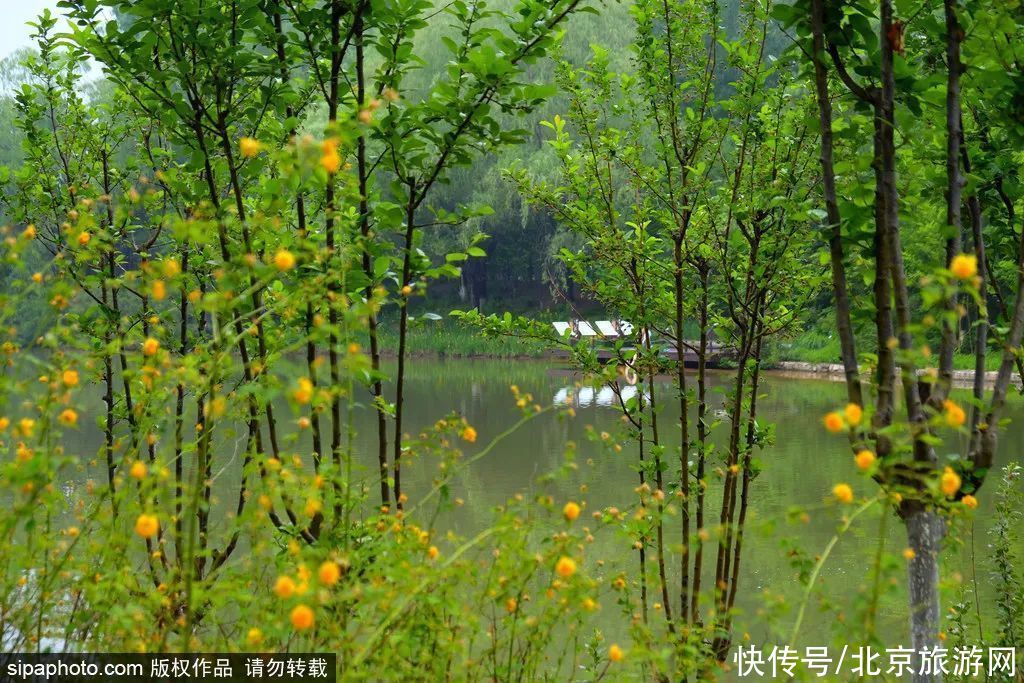 萧太后|一秒入画！这些原生态山水风景太美了，有的还是季节限定……