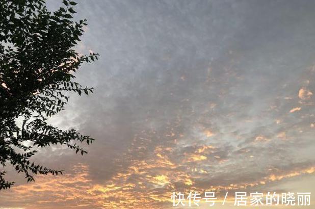 翅膀$“朱雀展翅,不富也贵”,什么是朱雀展翅?开业为啥叫开张?