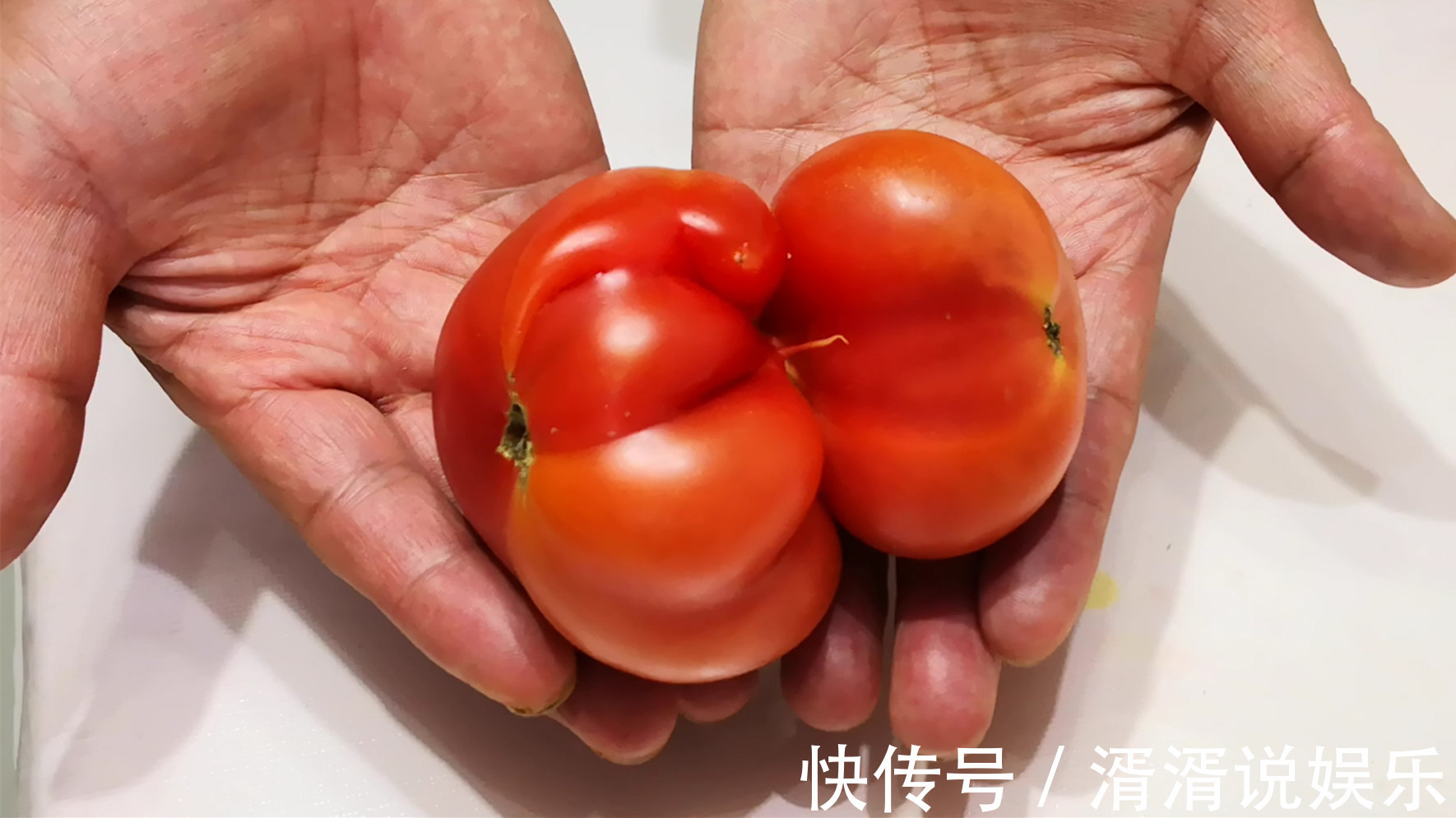 激素|买西红柿时，怎样辨别有没有打激素菜农牢记3点，一挑一个准