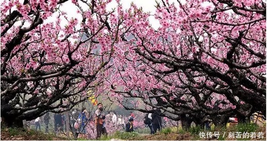 桃花源记记录的不是人间仙境有三个细节,看懂后背后发凉