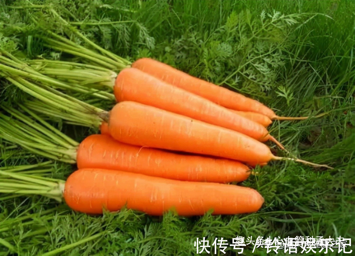 维生素多补充维生素,或能远离慢性病,日常这样吃,强体质,更健康