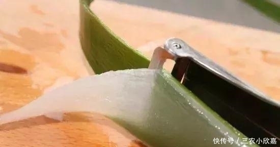 芦荟|家里养花不要瞎眼!这6种花旺财又养人,有2种花是大忌!