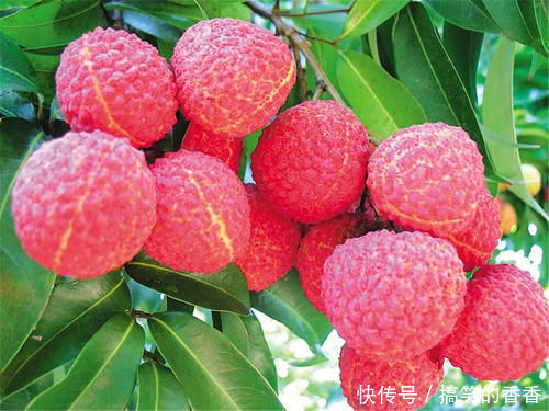 好处|会吃的人最健康,坚持吃3种食物,延缓衰老,增强免疫力,好处多