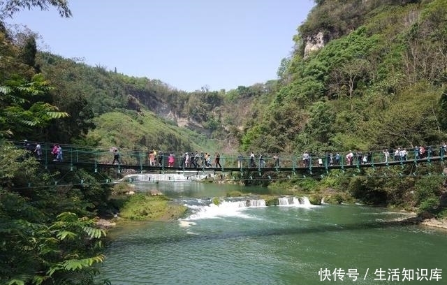 贵州旅记｜黄果树大瀑布，山脚下的龙须菜与竹叶菜