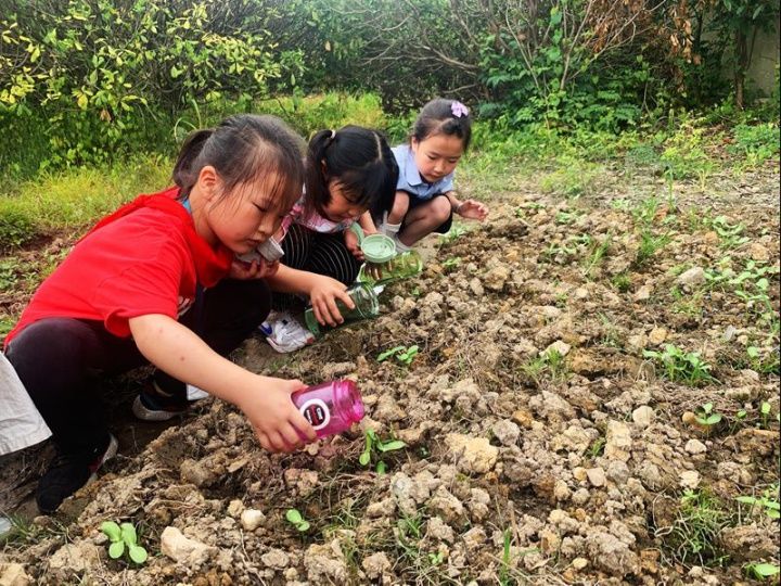 生活|课后生活趣味满满 欢乐实践健康成长