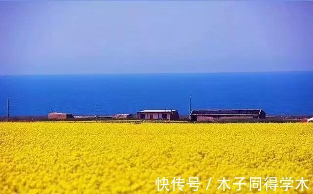 花露水|41个生活常识，读后受用