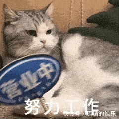 |幽默冷笑话:我们在一起三年,她讨厌我玩手机