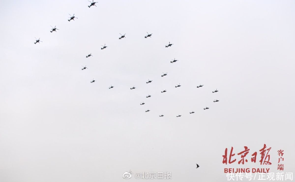 北京市野生动物救护中心|庆祝大会广场上空的“编外空中梯队”是怎么回事？原来是雨燕