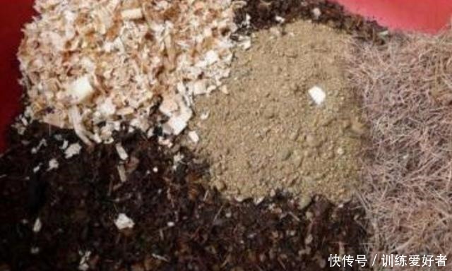 在家配制花土,5种材料加上一些,盆土疏松透气,养分全面!