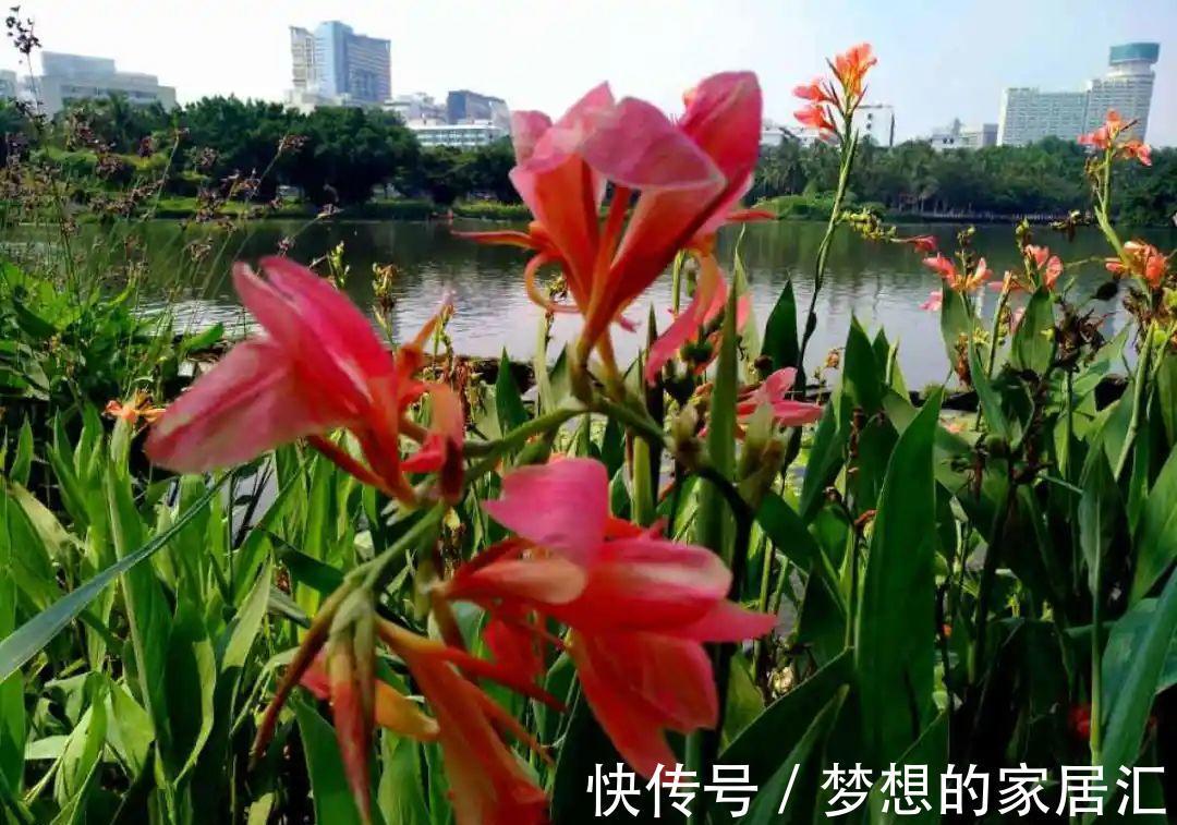 10种花太能喝水，一天一瓢水，7天爆满缸
