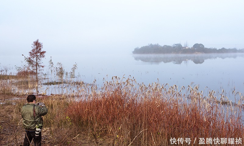 梦境|走进初冬的太子山，如同走进一场美丽的梦境