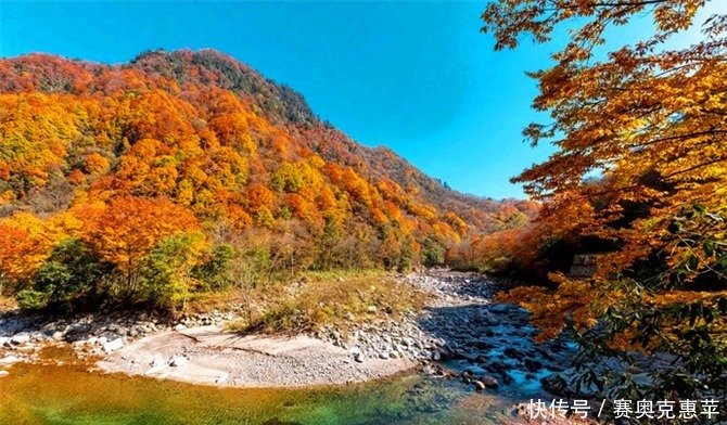  秋天|秦巴山区的旅游景点，夏天是天然氧吧，秋天是中国红叶之乡