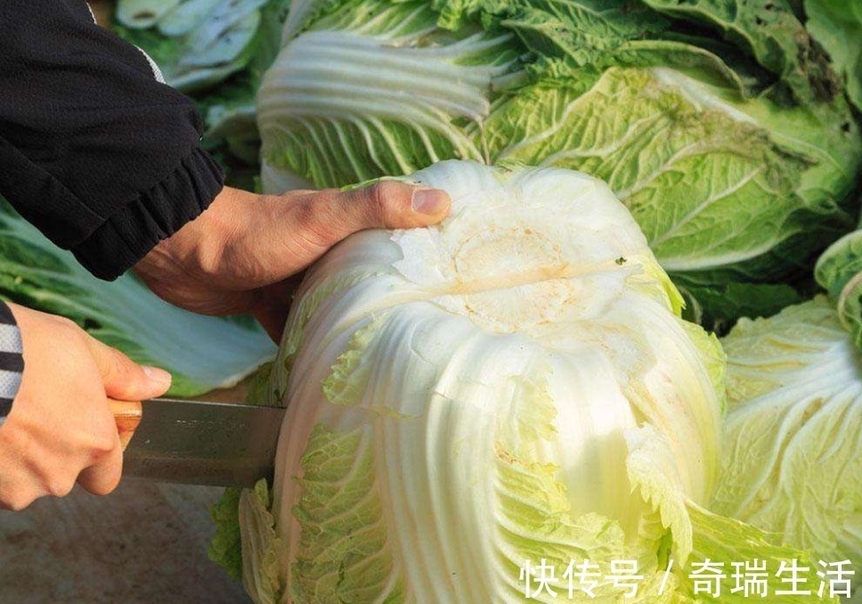心脑血管|炒大白菜切莫放此物,不然就是自讨苦吃,别怪没提醒你,早知早好