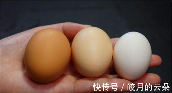 激素鸡蛋危害大,鸡场老板教我一招,一眼就能辨别,看完长知识了!