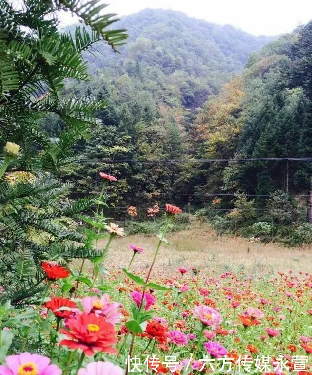 安排|问道武当山＋踏雪神农架，您的冬游计划已安排！