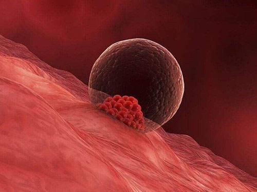 月经|月经周期25天和35天，哪种更健康？衰老速度一样吗？早知早受益